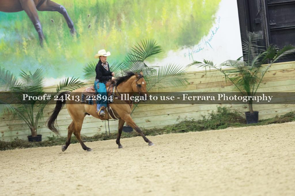 Proof 24R13_22894