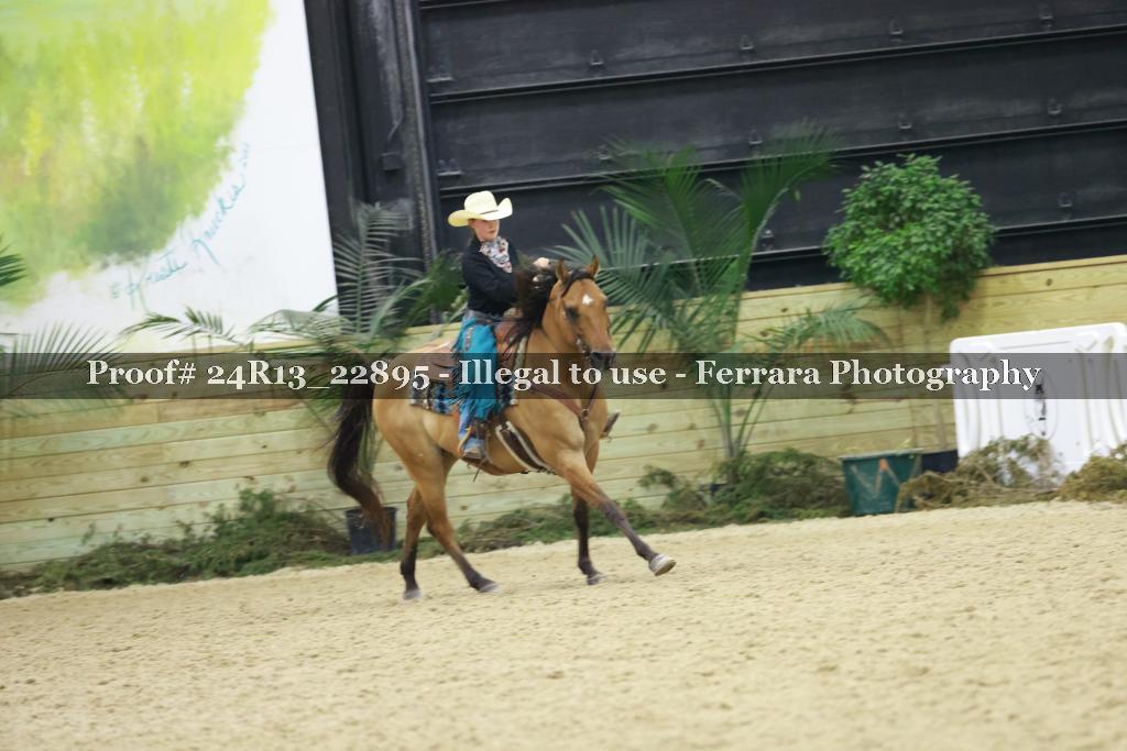 Proof 24R13_22895