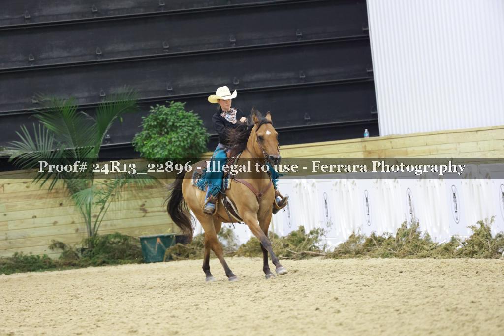 Proof 24R13_22896