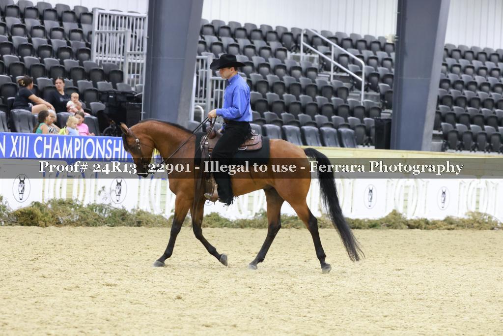 Proof 24R13_22901