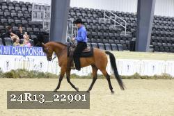 24R13_22901 proof