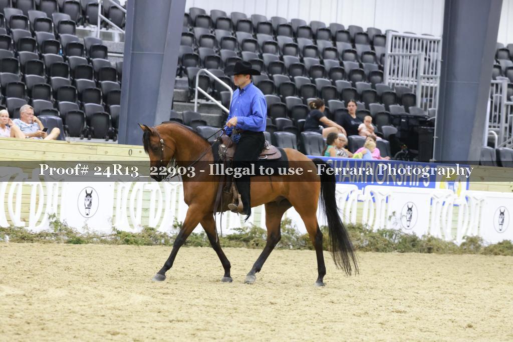 Proof 24R13_22903