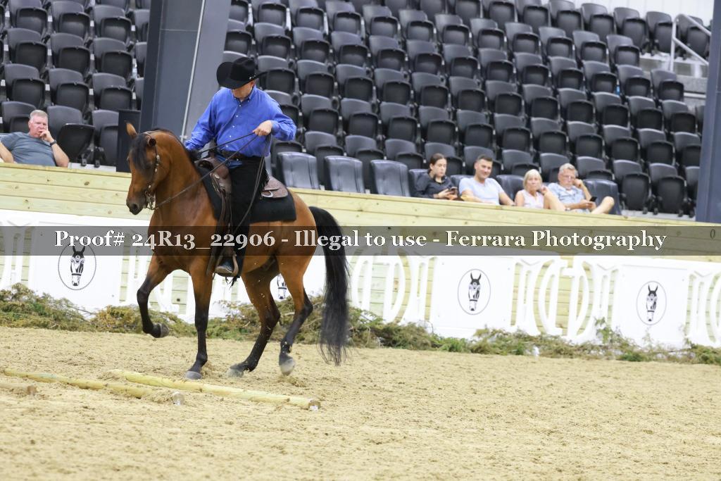 Proof 24R13_22906