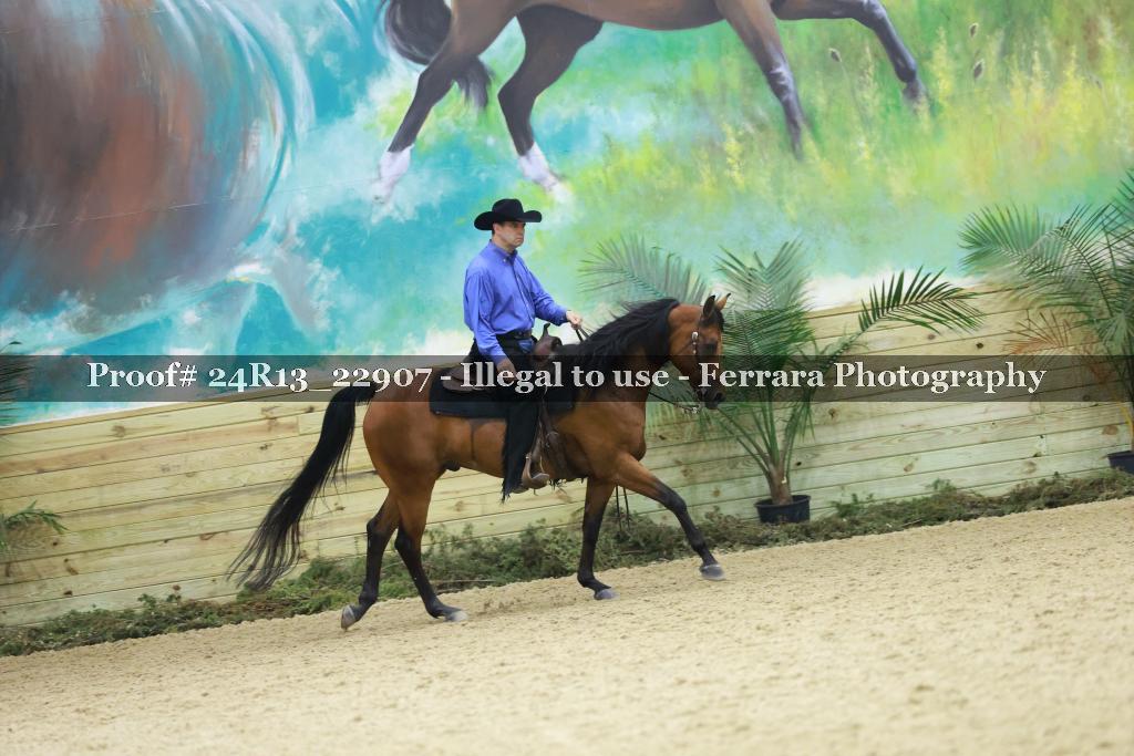 Proof 24R13_22907