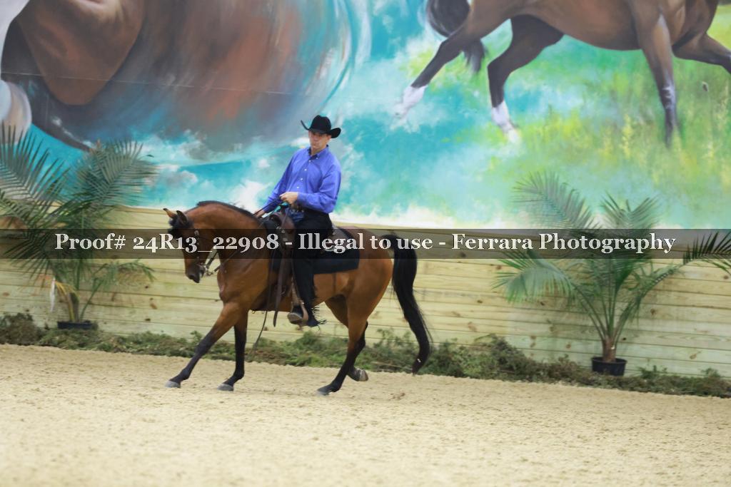 Proof 24R13_22908