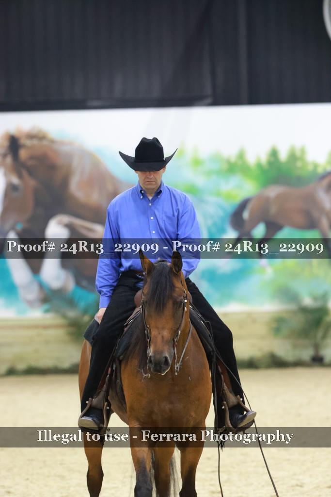 Proof 24R13_22909