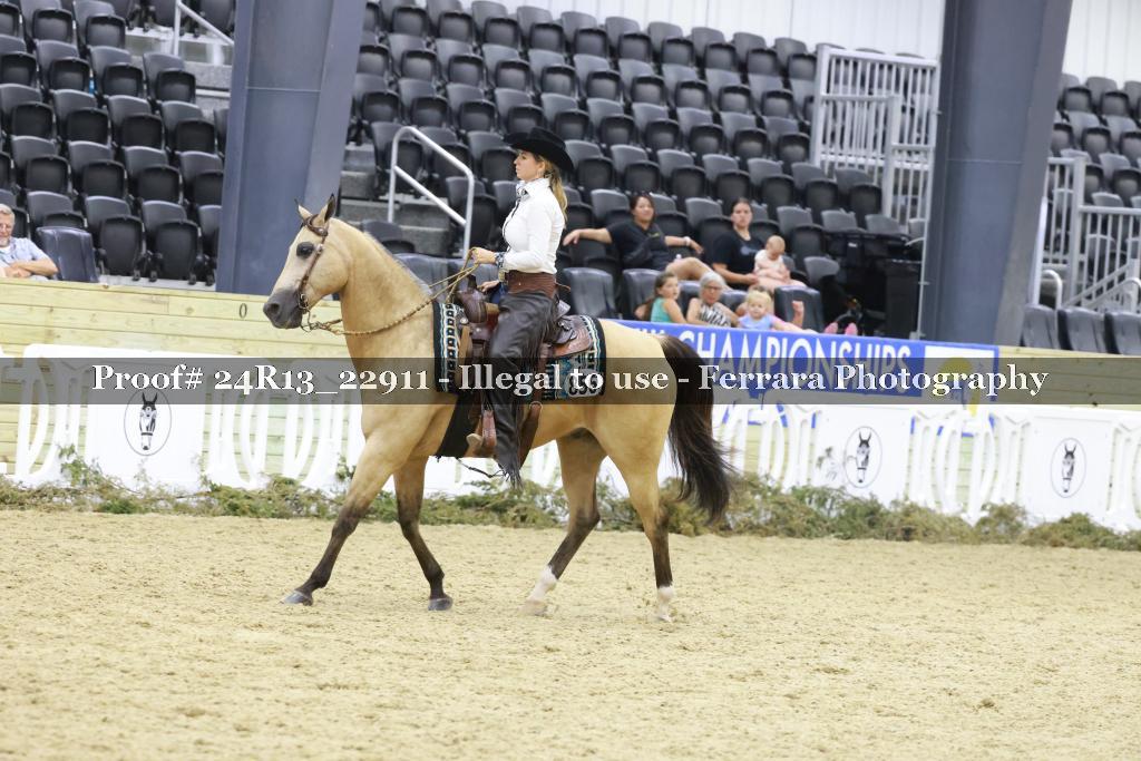 Proof 24R13_22911