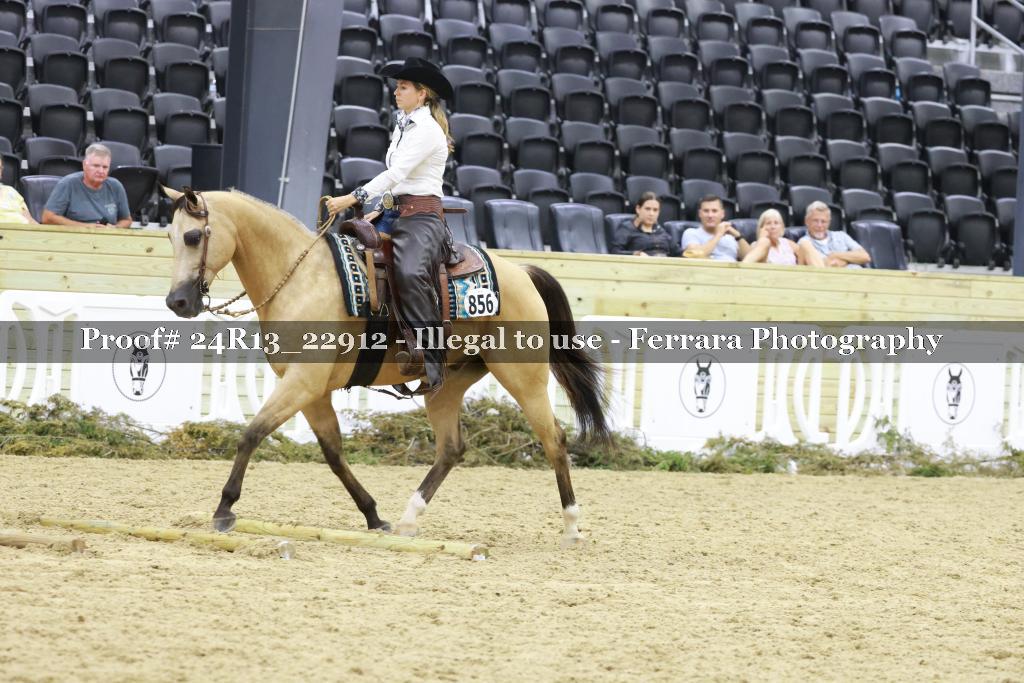 Proof 24R13_22912