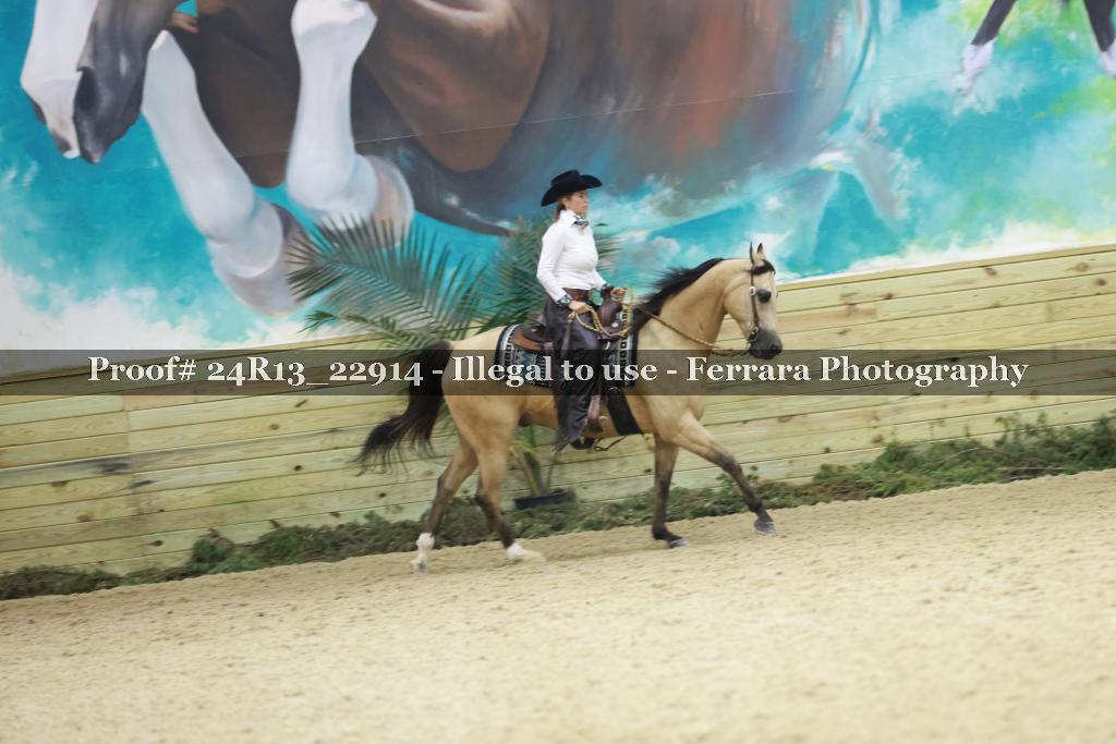 Proof 24R13_22914