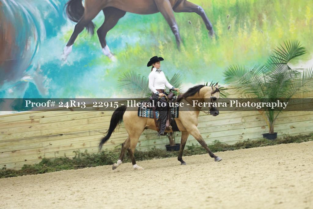 Proof 24R13_22915