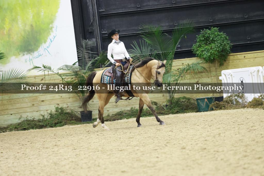 Proof 24R13_22916