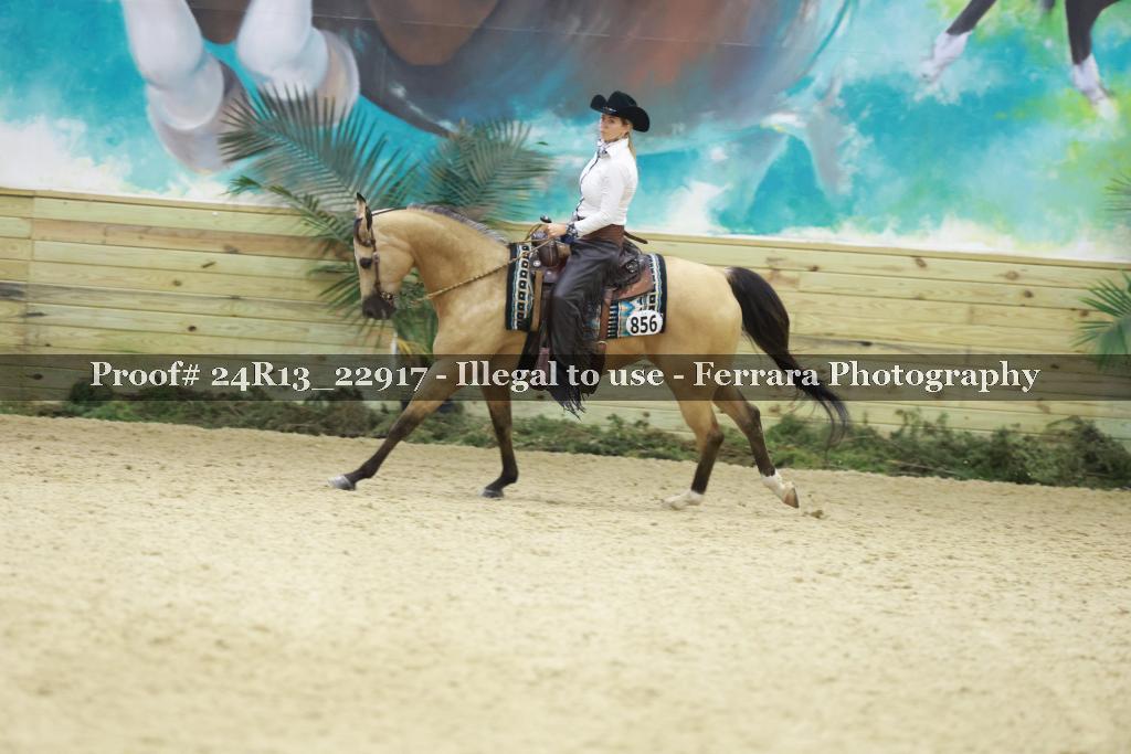 Proof 24R13_22917