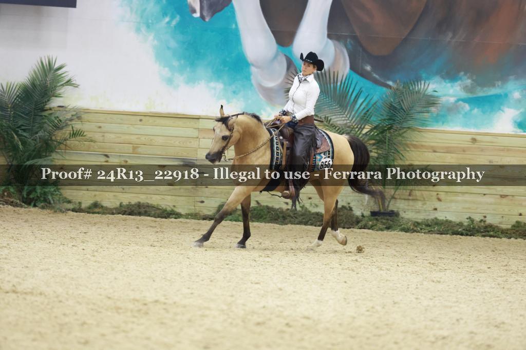 Proof 24R13_22918