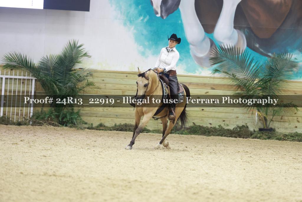 Proof 24R13_22919