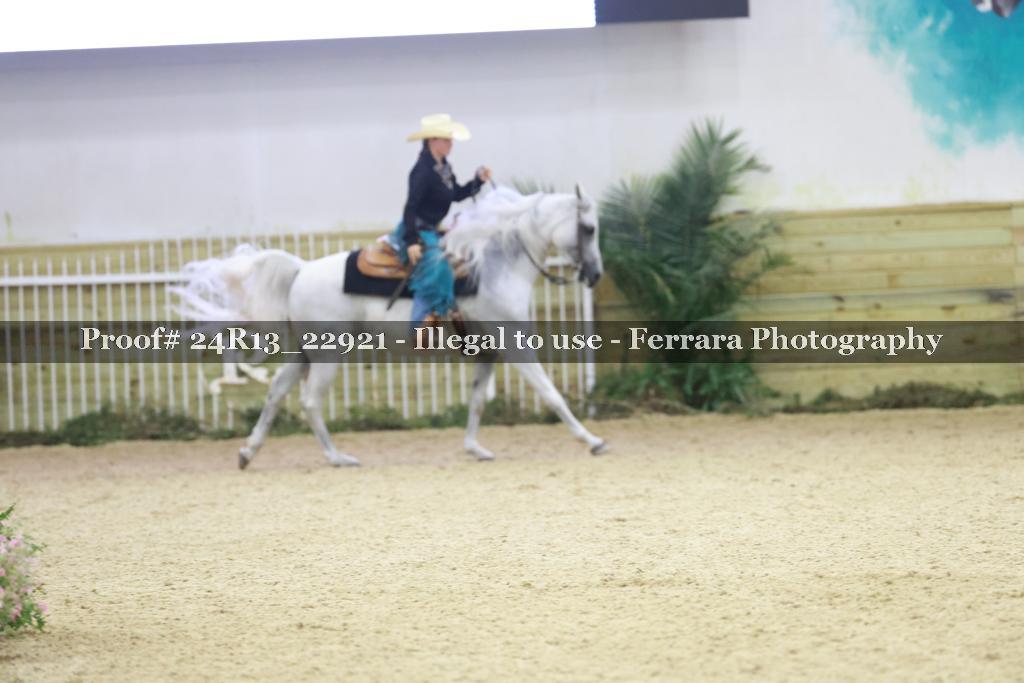 Proof 24R13_22921