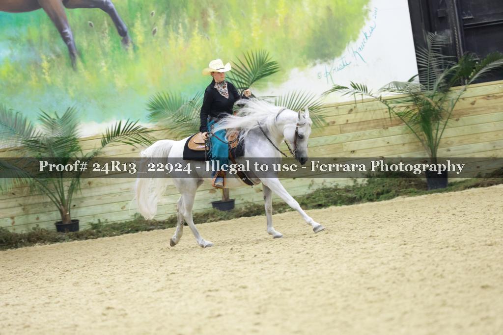 Proof 24R13_22924