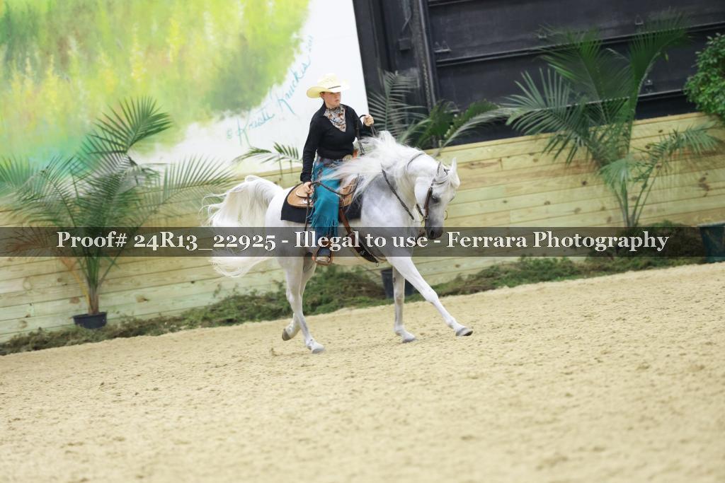 Proof 24R13_22925