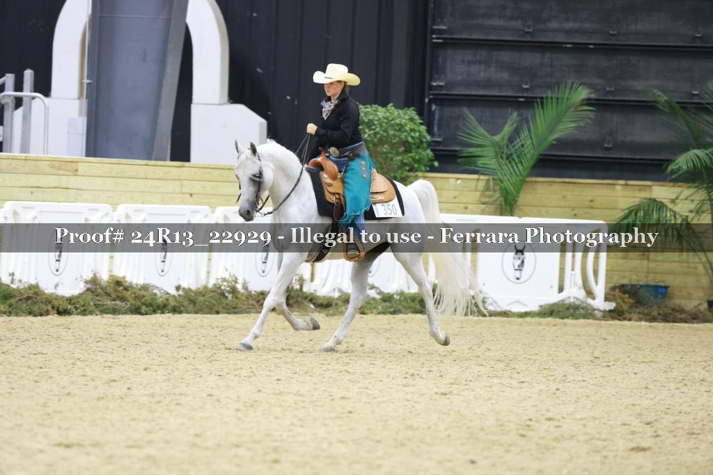 Proof 24R13_22929