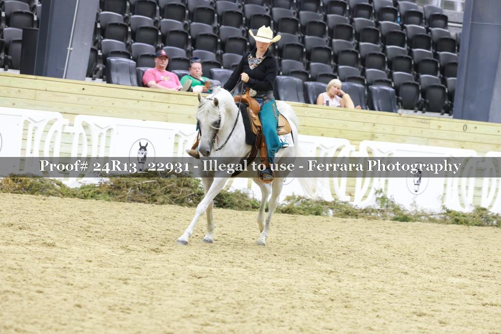 Proof 24R13_22931