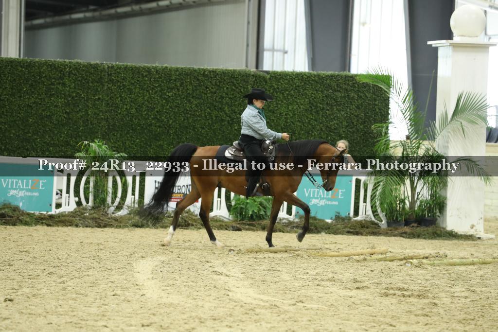 Proof 24R13_22933