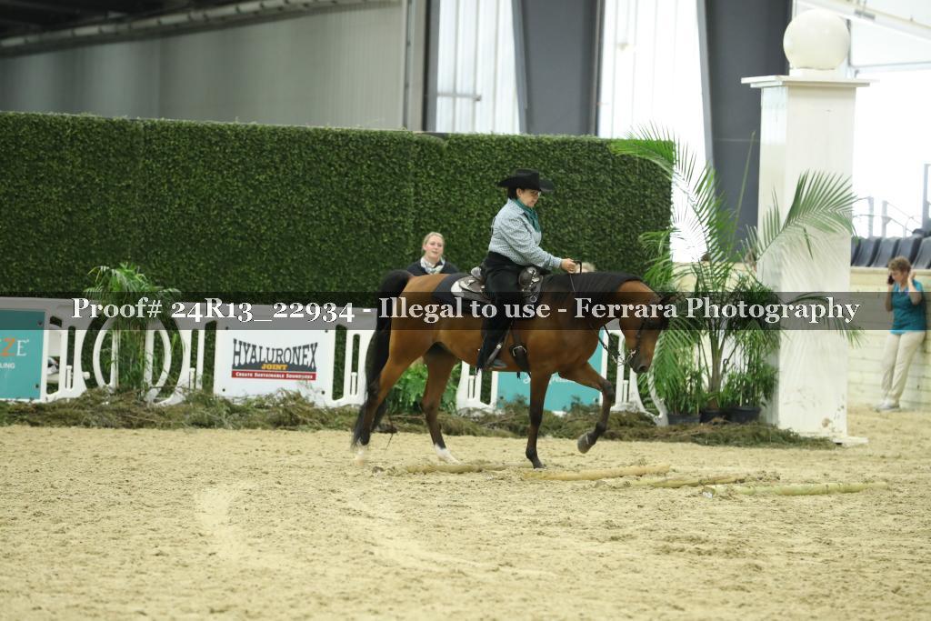Proof 24R13_22934