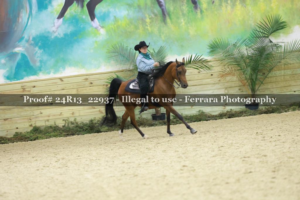 Proof 24R13_22937
