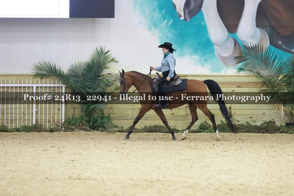 Proof 24R13_22941