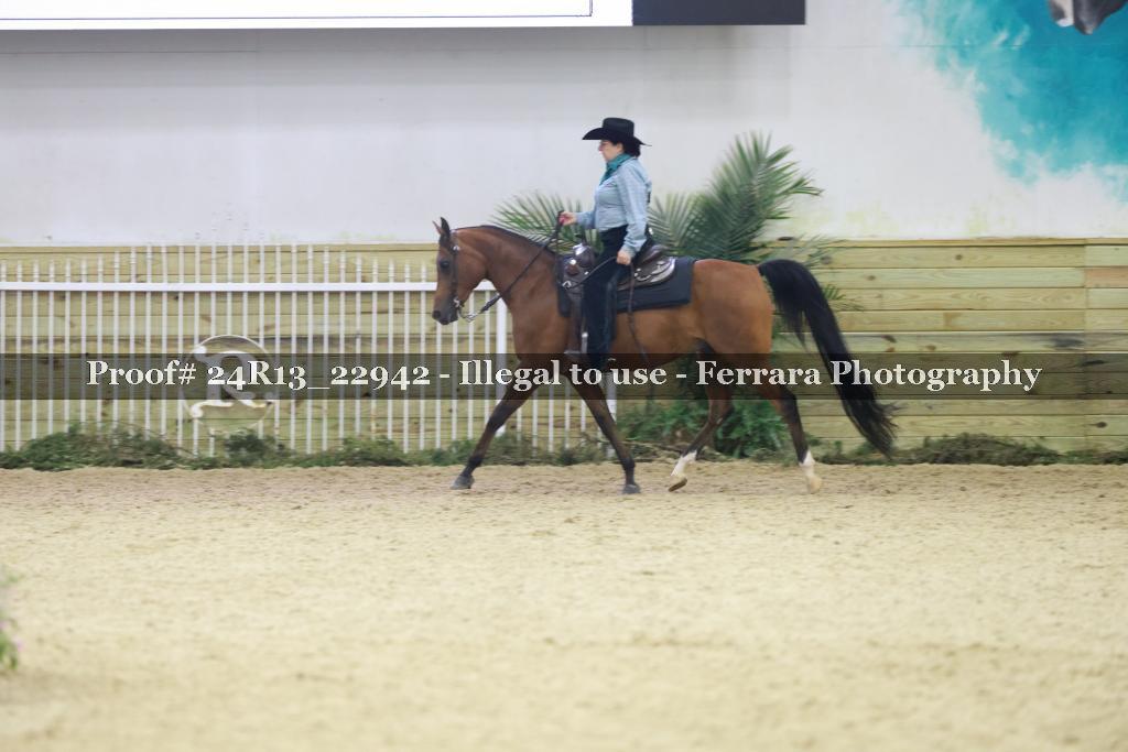 Proof 24R13_22942