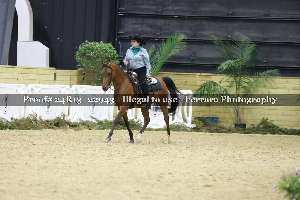 Proof 24R13_22943