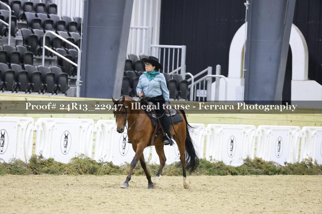 Proof 24R13_22947