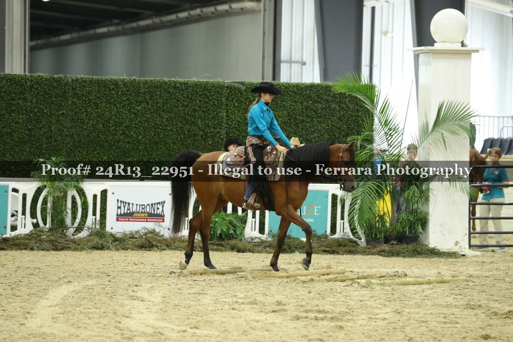 Proof 24R13_22951
