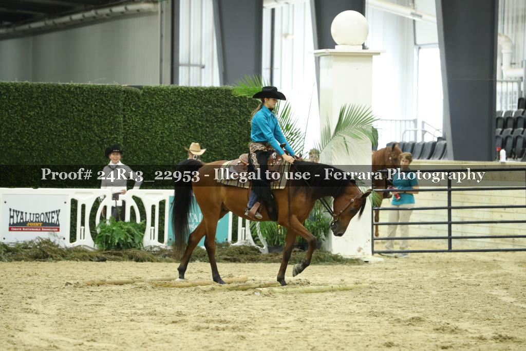 Proof 24R13_22953
