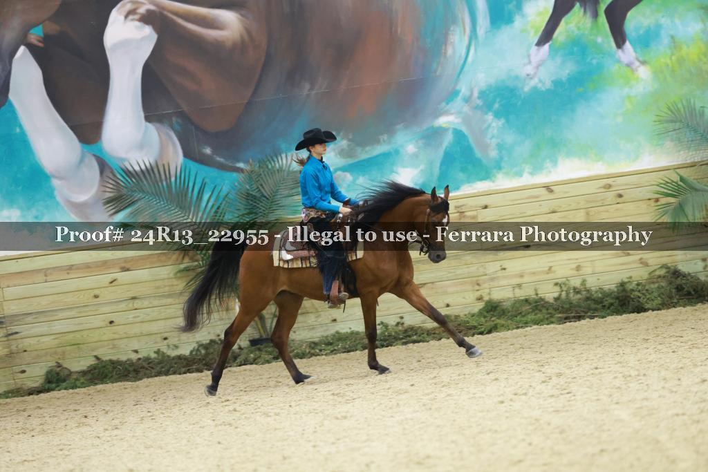 Proof 24R13_22955