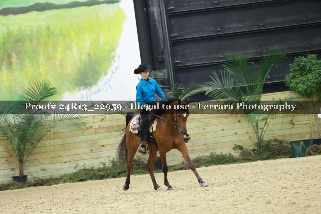 Proof 24R13_22959