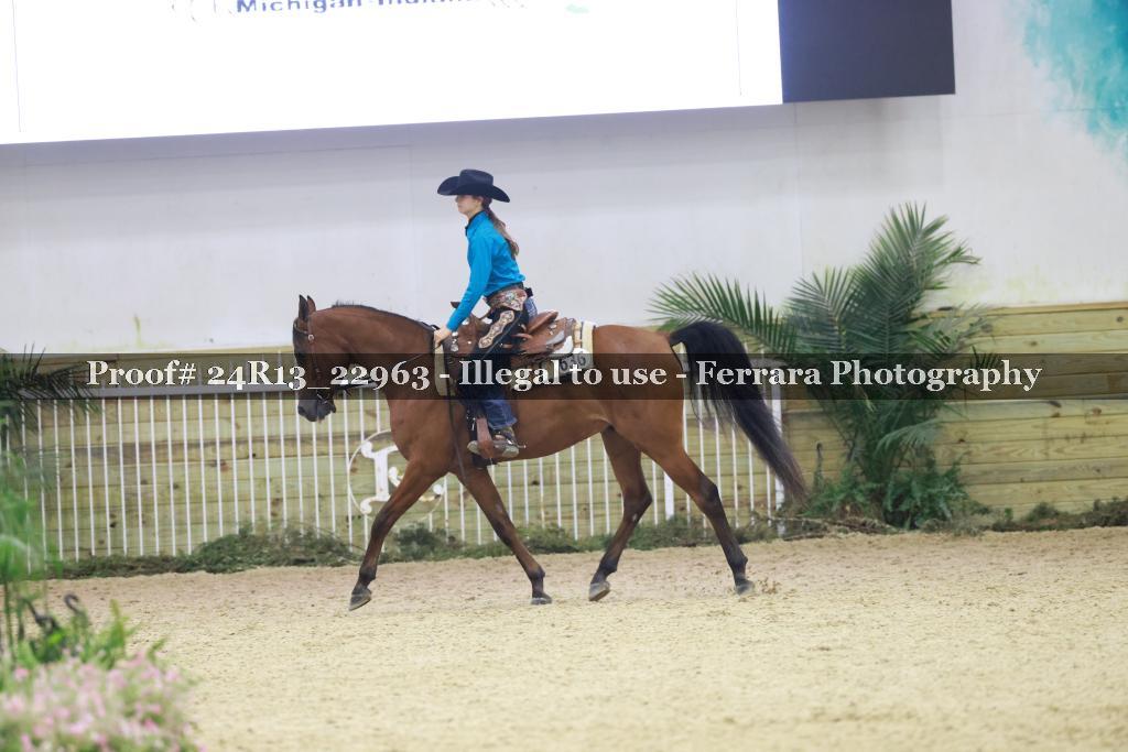 Proof 24R13_22963