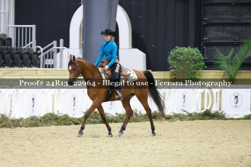 Proof 24R13_22964