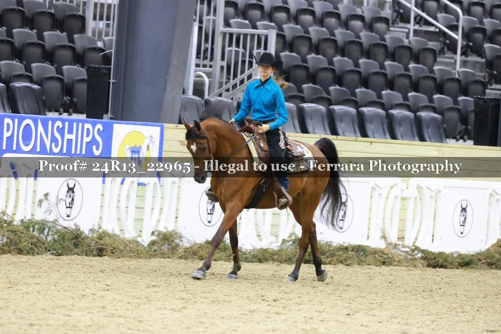 Proof 24R13_22965