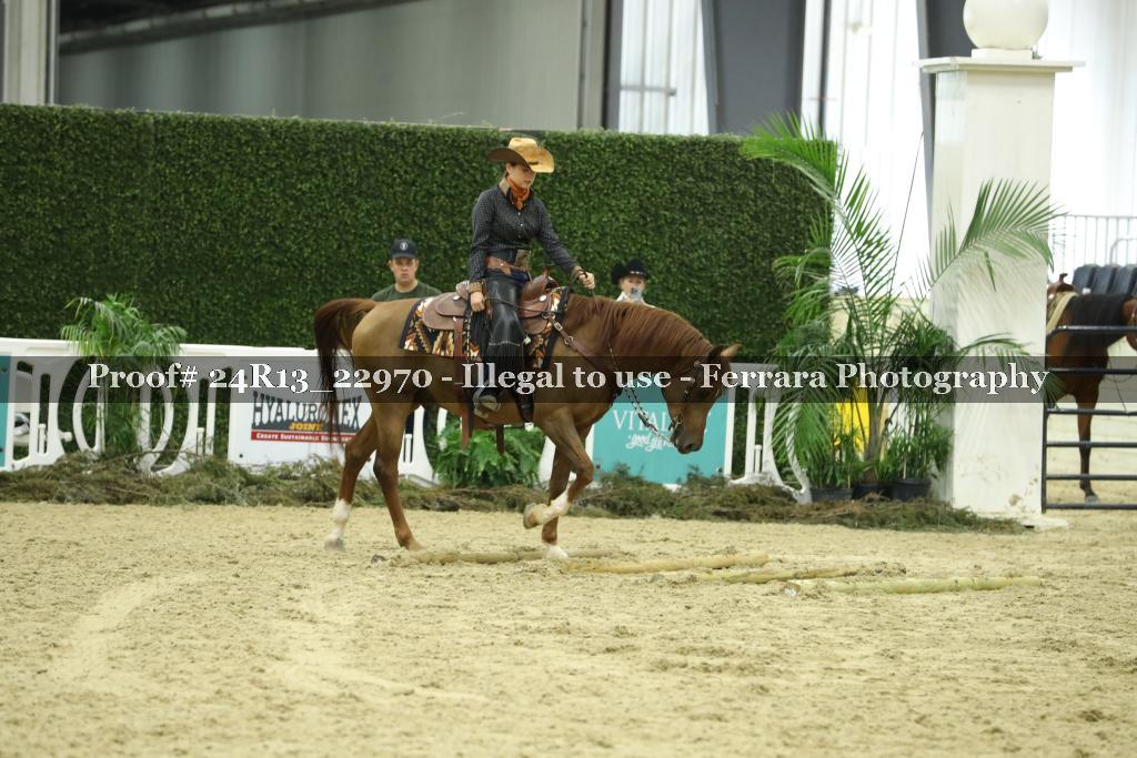 Proof 24R13_22970