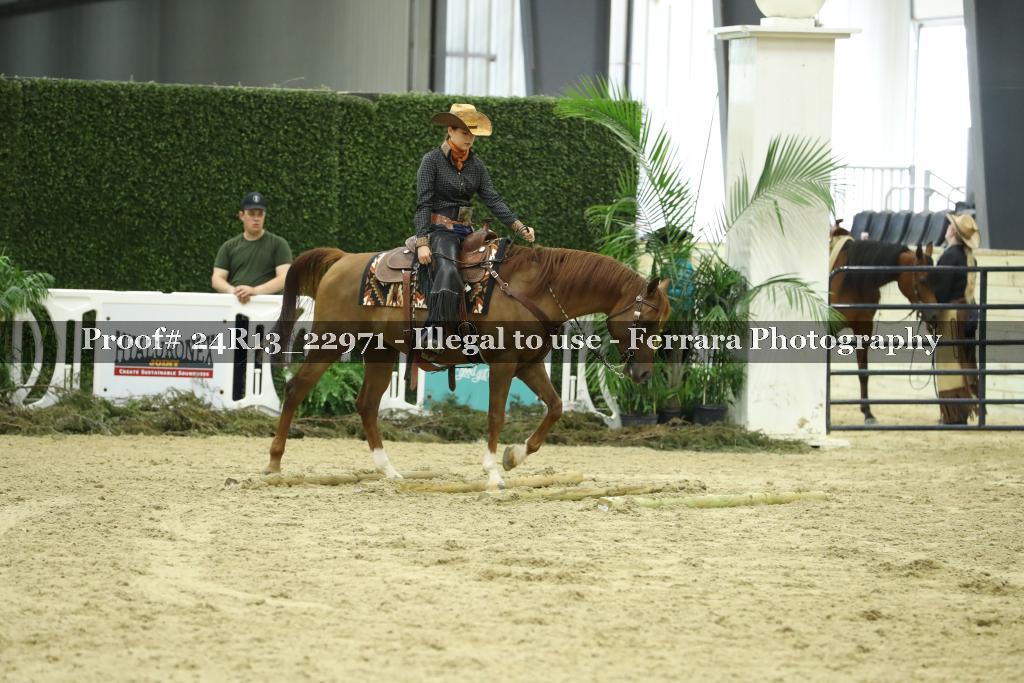 Proof 24R13_22971