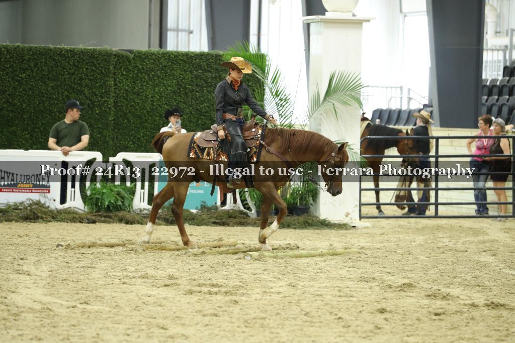 Proof 24R13_22972