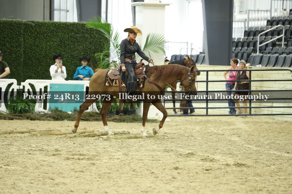 Proof 24R13_22973