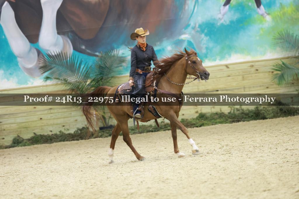 Proof 24R13_22975