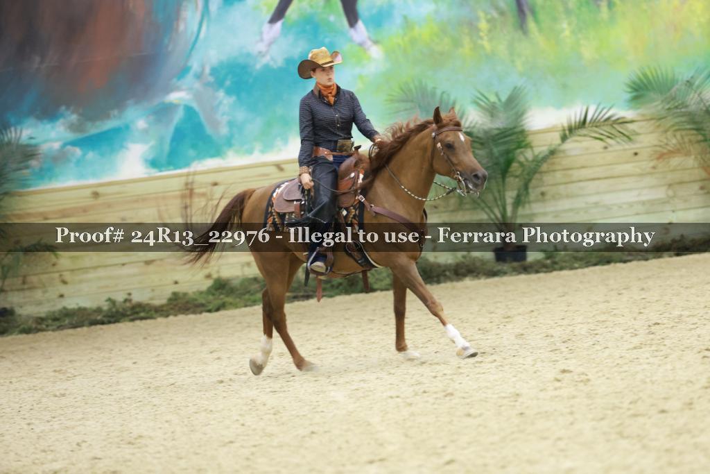 Proof 24R13_22976