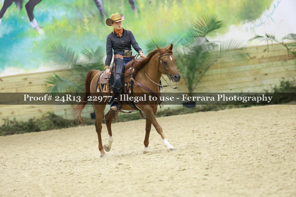 Proof 24R13_22977