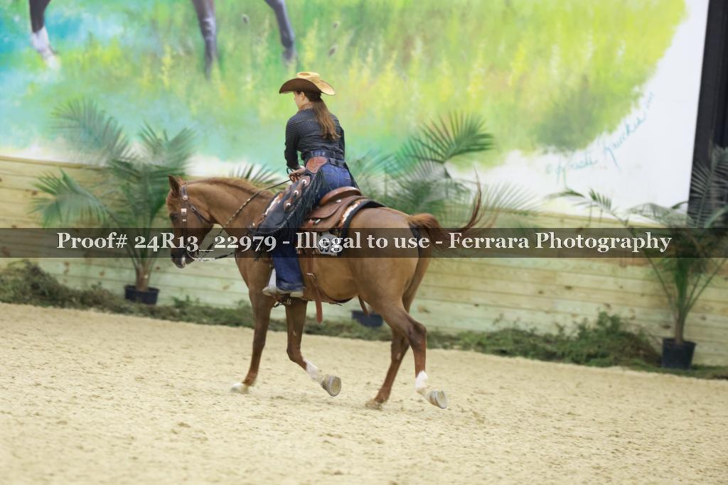 Proof 24R13_22979