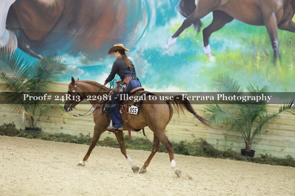 Proof 24R13_22981