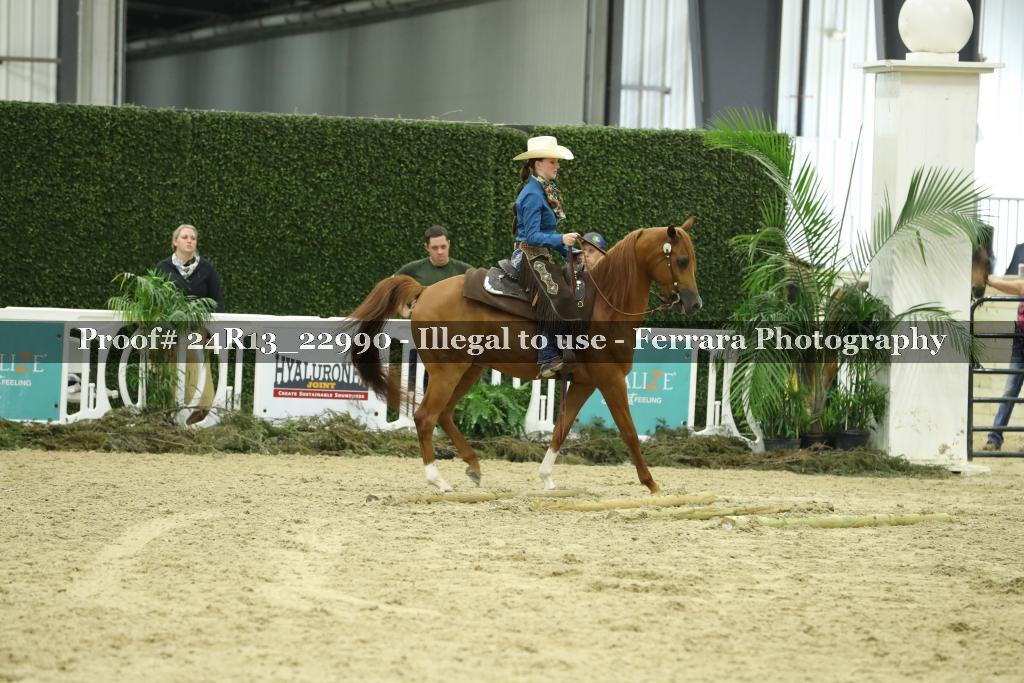 Proof 24R13_22990