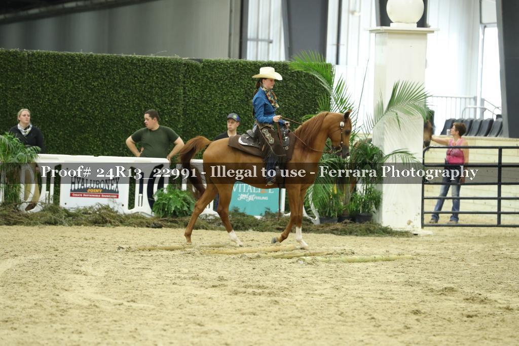 Proof 24R13_22991