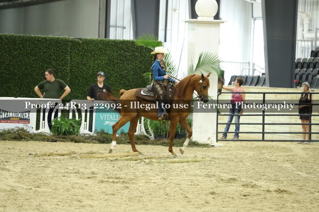 Proof 24R13_22992
