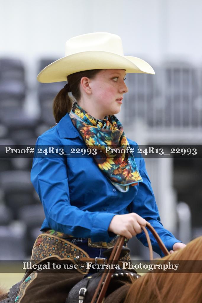 Proof 24R13_22993